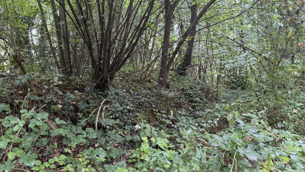 Lot: 2 - APPROXIMATELY FIVE ACRES OF WOODLAND - Outside image of old rectory remains